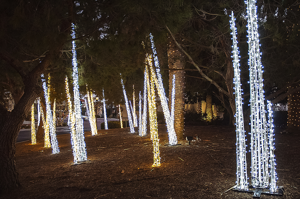 A holiday decor installation done by professional Christmas light installers. Trees wrapped in white and yellow Christmas lights.